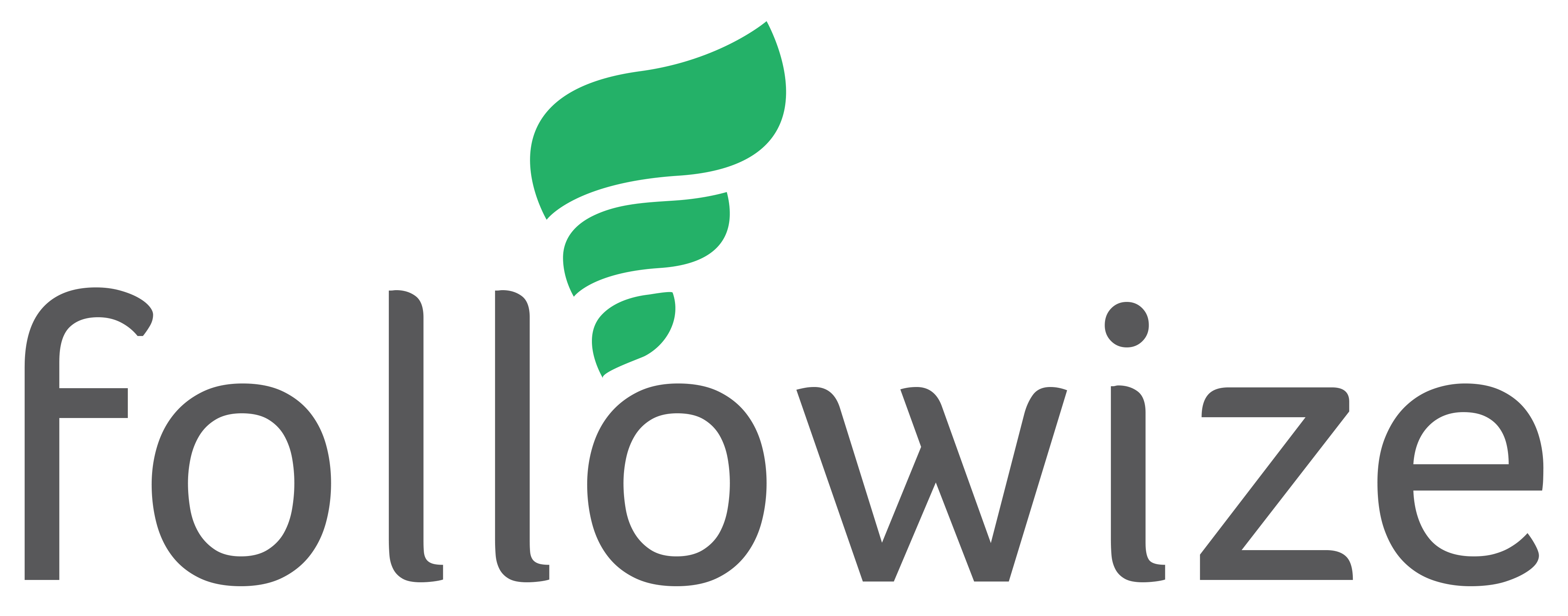 logo_Followize