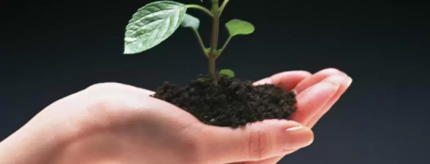 Saiba quais as vantagens da campanha de nutrição de leads eficiente